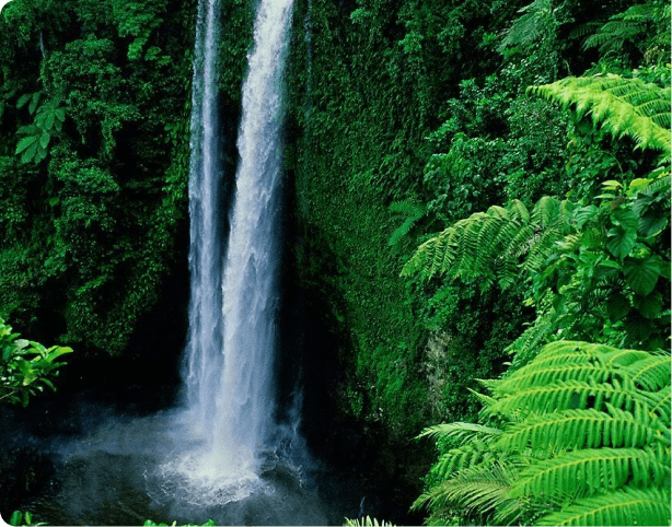 2nd Round table on Agri-Biodiversity in the Kanha Region